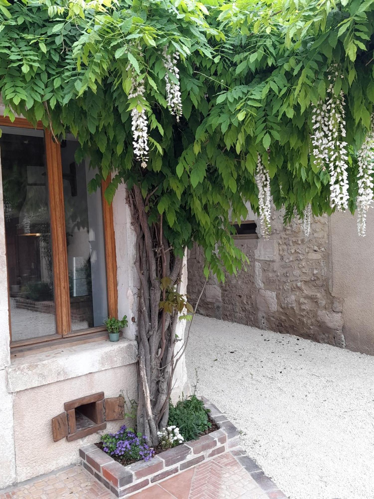 Aux Sources De Ouanne Bed & Breakfast Luaran gambar